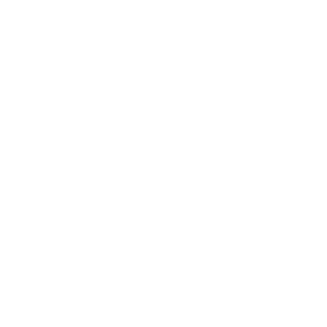 Southern Phone logo in white